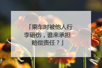 乘车时被他人行李砸伤，谁来承担赔偿责任？