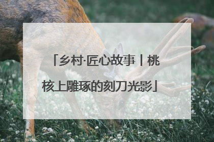 乡村·匠心故事丨桃核上雕琢的刻刀光影