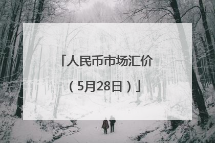 人民币市场汇价（5月28日）