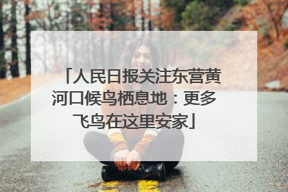 人民日报关注东营黄河口候鸟栖息地：更多飞鸟在这里安家