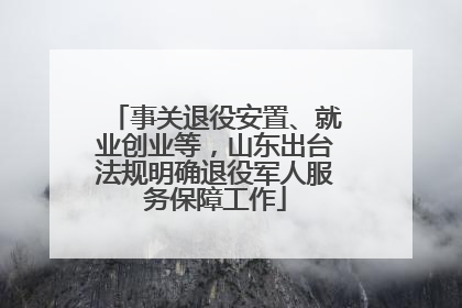 事关退役安置、就业创业等，山东出台法规明确退役军人服务保障工作