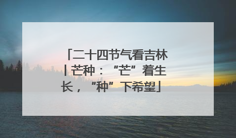 二十四节气看吉林丨芒种：“芒”着生长，“种”下希望