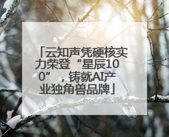云知声凭硬核实力荣登“星辰100”，铸就AI产业独角兽品牌