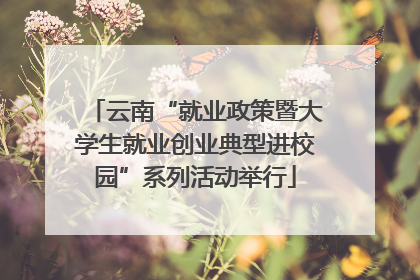 云南“就业政策暨大学生就业创业典型进校园”系列活动举行