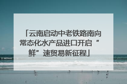 云南启动中老铁路南向常态化水产品进口开启“鲜”速贸易新征程