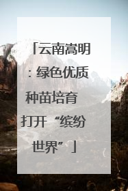 云南嵩明：绿色优质种苗培育 打开“缤纷世界”