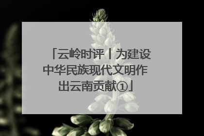 云岭时评丨为建设中华民族现代文明作出云南贡献①