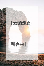 云菌飘香引客来