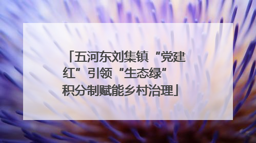 五河东刘集镇“党建红”引领“生态绿” 积分制赋能乡村治理