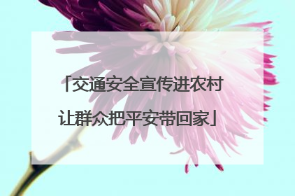 交通安全宣传进农村 让群众把平安带回家
