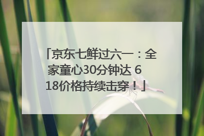 京东七鲜过六一：全家童心30分钟达 618价格持续击穿！
