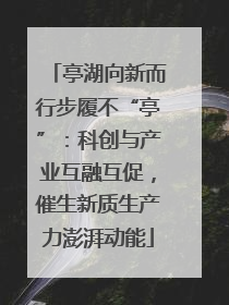 亭湖向新而行步履不“亭”：科创与产业互融互促，催生新质生产力澎湃动能