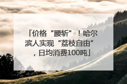 价格“腰斩”！哈尔滨人实现“荔枝自由”，日均消费100吨
