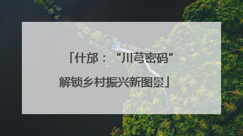 什邡：“川芎密码”解锁乡村振兴新图景