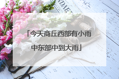 今天商丘西部有小雨 中东部中到大雨