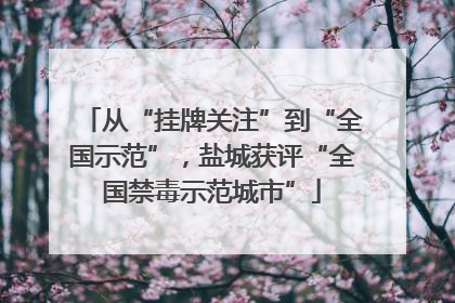 从“挂牌关注”到“全国示范”，盐城获评“全国禁毒示范城市”