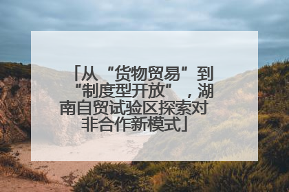 从“货物贸易”到“制度型开放”，湖南自贸试验区探索对非合作新模式