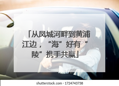 从凤城河畔到黄浦江边，“海”好有“陵”携手共赢