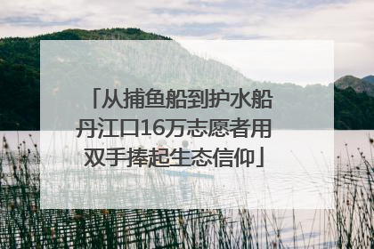 从捕鱼船到护水船 丹江口16万志愿者用双手捧起生态信仰