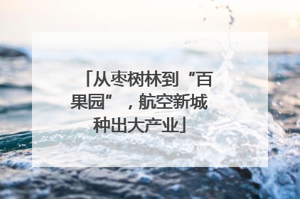 从枣树林到“百果园”，航空新城种出大产业