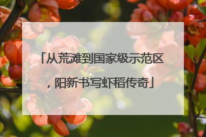 从荒滩到国家级示范区，阳新书写虾稻传奇