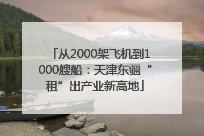 从2000架飞机到1000艘船：天津东疆“租”出产业新高地