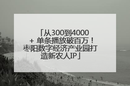 从300到4000+ 单条播放破百万！枣阳数字经济产业园打造新农人IP