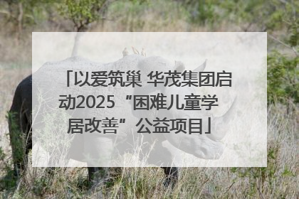 以爱筑巢 华茂集团启动2025“困难儿童学居改善”公益项目