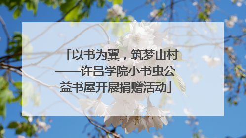 以书为翼，筑梦山村——许昌学院小书虫公益书屋开展捐赠活动