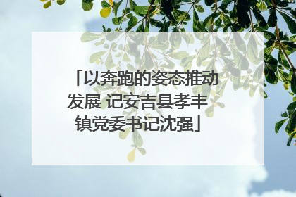以奔跑的姿态推动发展 记安吉县孝丰镇党委书记沈强