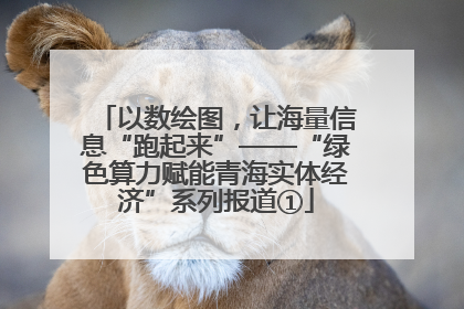 以数绘图，让海量信息“跑起来”——“绿色算力赋能青海实体经济”系列报道①