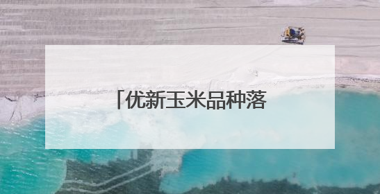 优新玉米品种落地昌平 科学技术指导助力丰收