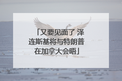 又要见面了 泽连斯基将与特朗普在加拿大会晤