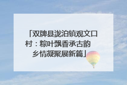 双牌县泷泊镇观文口村：粽叶飘香承古韵 乡情凝聚展新篇