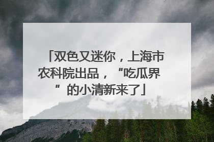 双色又迷你，上海市农科院出品，“吃瓜界”的小清新来了