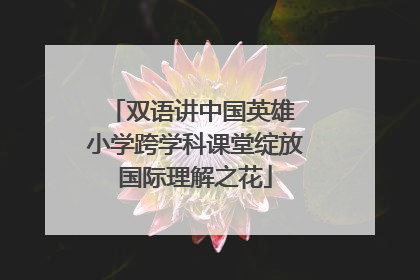 双语讲中国英雄 小学跨学科课堂绽放国际理解之花