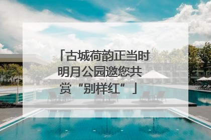 古城荷韵正当时 明月公园邀您共赏“别样红”