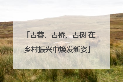 古巷、古桥、古树 在乡村振兴中焕发新姿