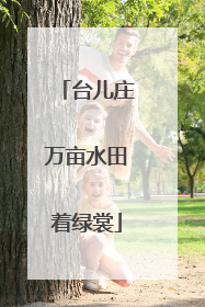 台儿庄万亩水田着绿裳