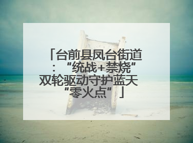 台前县凤台街道：“统战+禁烧”双轮驱动守护蓝天 “零火点”