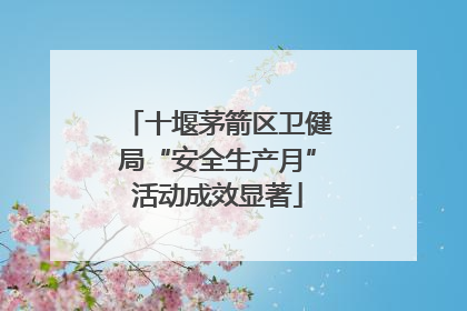 十堰茅箭区卫健局“安全生产月”活动成效显著