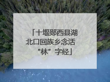十堰郧西县湖北口回族乡念活“林”字经