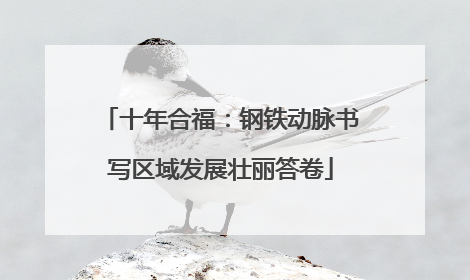 十年合福：钢铁动脉书写区域发展壮丽答卷