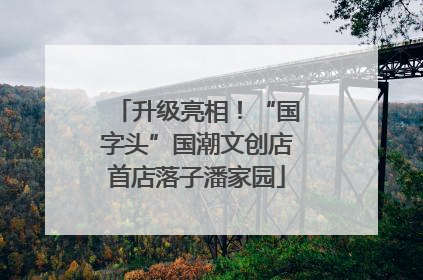 升级亮相！“国字头”国潮文创店首店落子潘家园