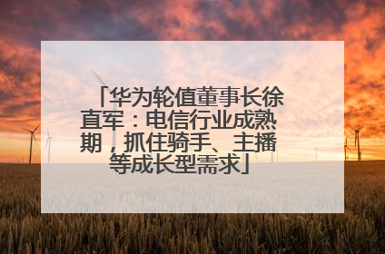 华为轮值董事长徐直军：电信行业成熟期，抓住骑手、主播等成长型需求