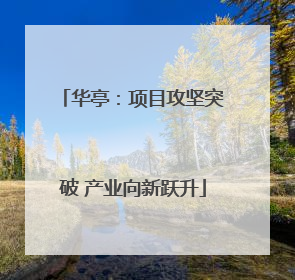 华亭：项目攻坚突破 产业向新跃升