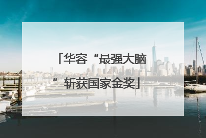 华容“最强大脑”斩获国家金奖