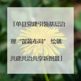 单县党建引领基层治理“谋篇布局” 绘就共建共治共享新图景