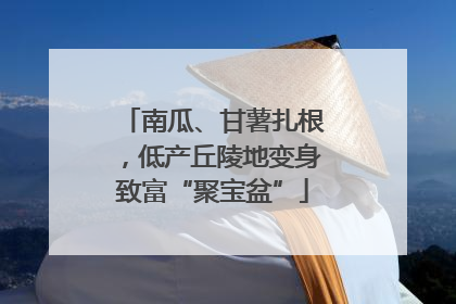 南瓜、甘薯扎根，低产丘陵地变身致富“聚宝盆”