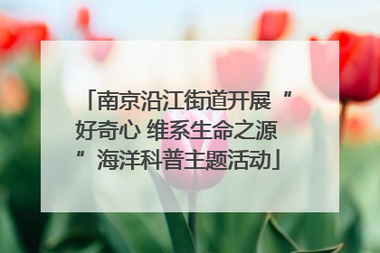 南京沿江街道开展“好奇心 维系生命之源”海洋科普主题活动